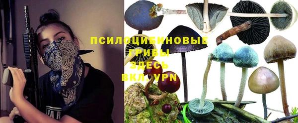 кокаин колумбия Алексин